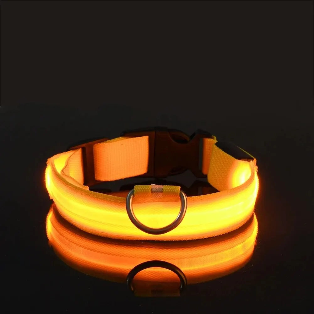LED Glow-in-the-Dark Dog Leash & Collar – Night Safety for Your Pet