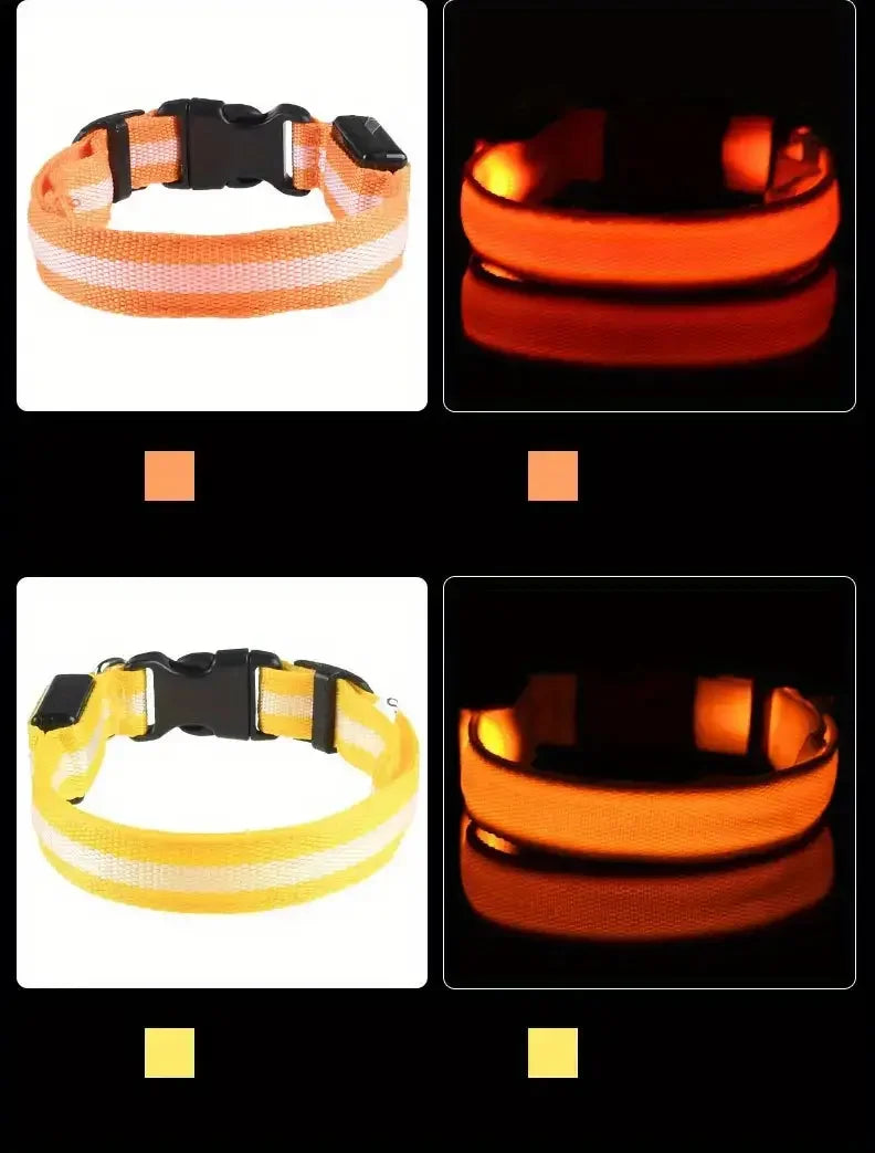 LED Glow-in-the-Dark Dog Leash & Collar – Night Safety for Your Pet