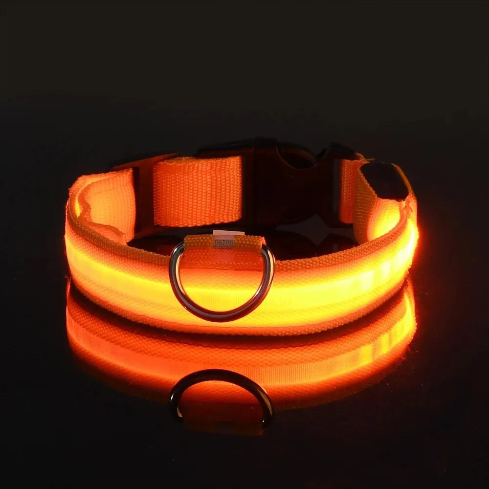 LED Glow-in-the-Dark Dog Leash & Collar – Night Safety for Your Pet