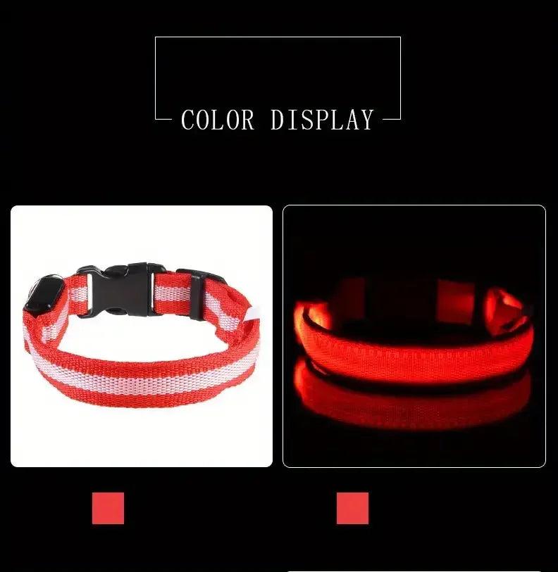 LED Glow-in-the-Dark Dog Leash & Collar – Night Safety for Your Pet