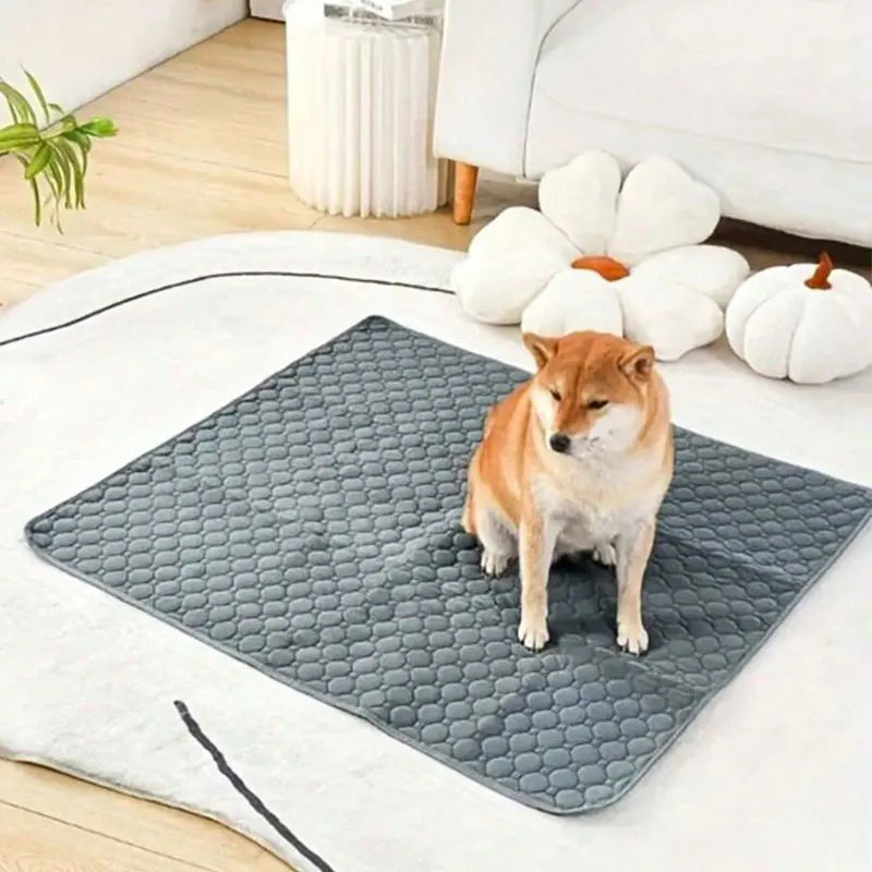 Reusable & Washable Dog Pee Pad – Waterproof & Absorbent Training Mat for Puppies, Cats, Car Seats, Floors & Sofas