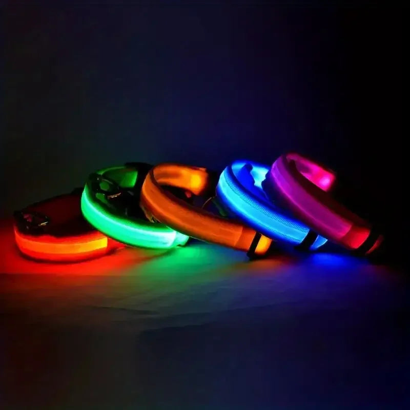 LED Glow-in-the-Dark Dog Leash & Collar – Night Safety for Your Pet