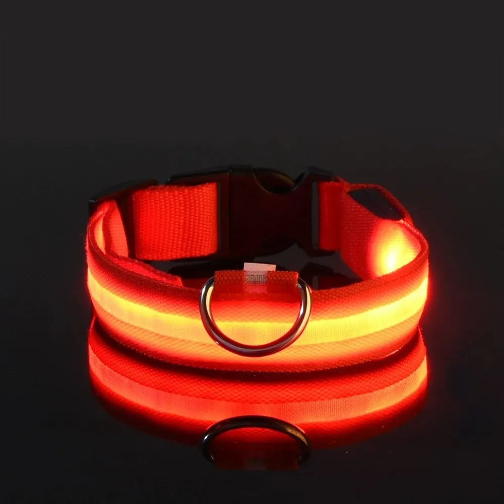 LED Glow-in-the-Dark Dog Leash & Collar – Night Safety for Your Pet