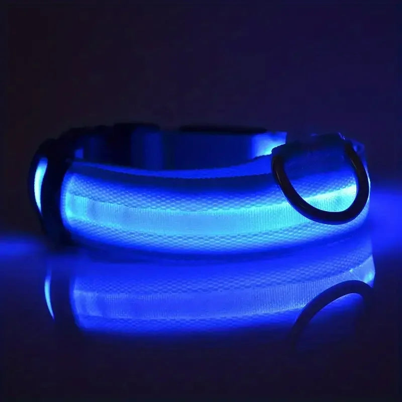 LED Glow-in-the-Dark Dog Leash & Collar – Night Safety for Your Pet