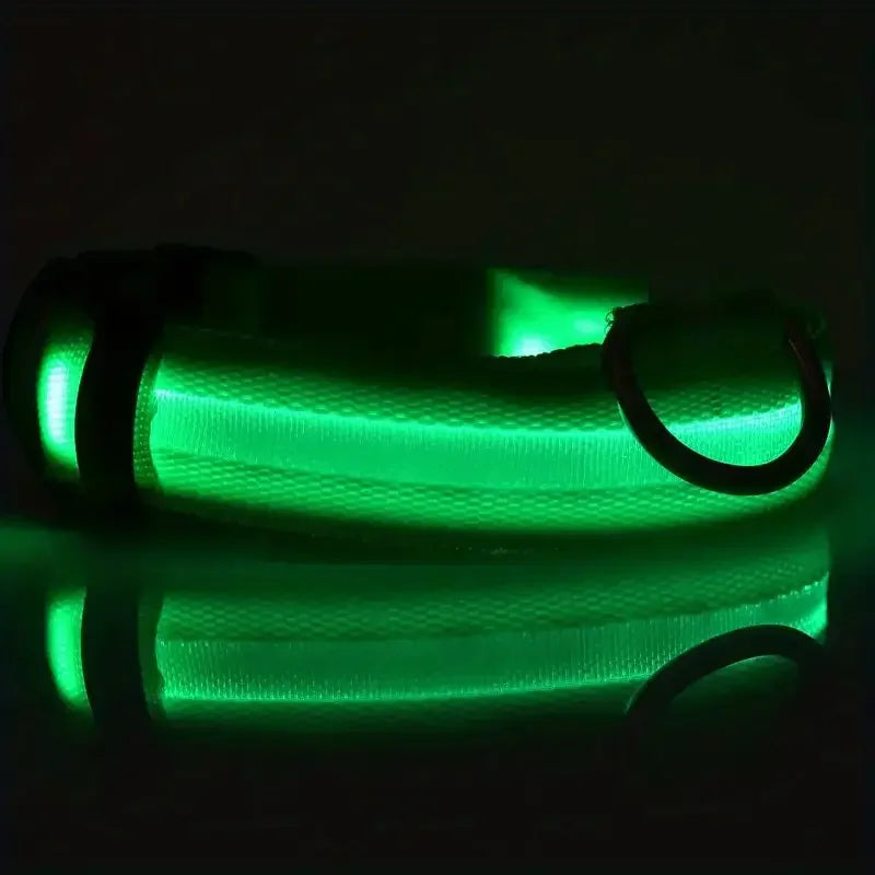 LED Glow-in-the-Dark Dog Leash & Collar – Night Safety for Your Pet