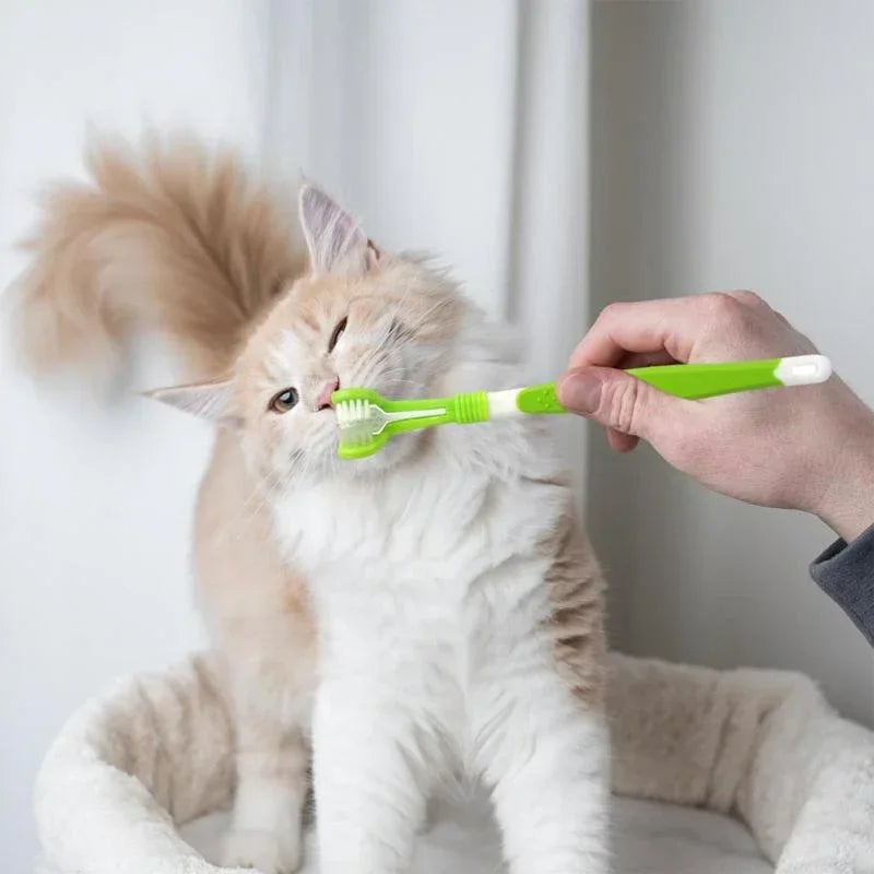 3-Sided Pet Toothbrush – Dog & Cat Plastic Toothbrush for Dental Care | Removes Tartar & Bad Breath, Cleans Pet Mouth Effectively
