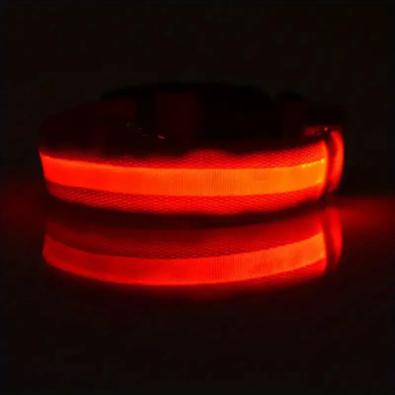 LED Glow-in-the-Dark Dog Leash & Collar – Night Safety for Your Pet