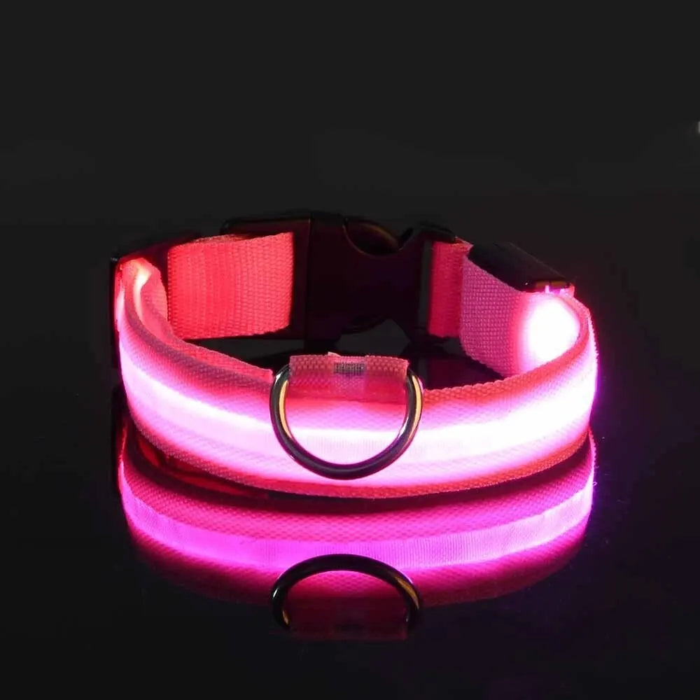 LED Glow-in-the-Dark Dog Leash & Collar – Night Safety for Your Pet