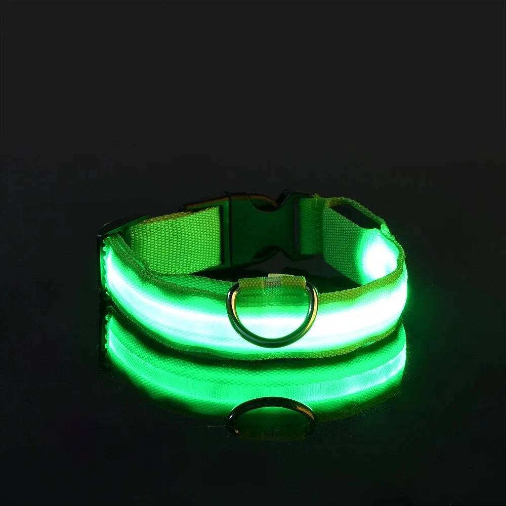 LED Glow-in-the-Dark Dog Leash & Collar – Night Safety for Your Pet