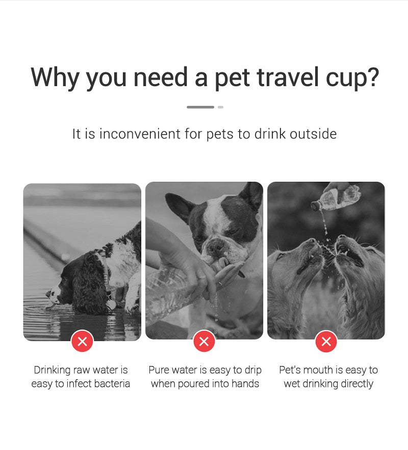 Portable Dog Water Bottle – Leakproof & Convenient Hydration for Pets on the Go
