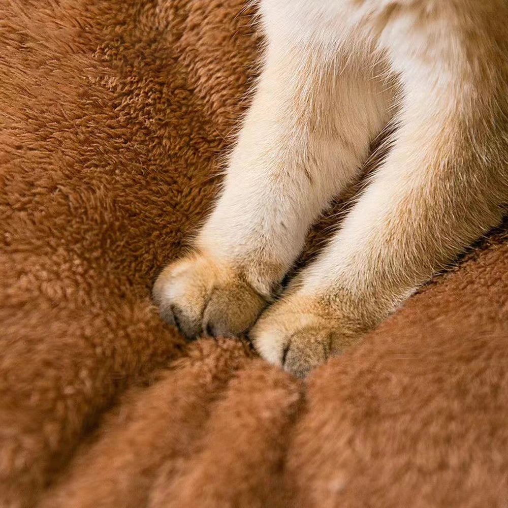 Cozy Teddy Bear Enclosed Pet Bed – Ultimate Comfort for Cats & Small Dogs