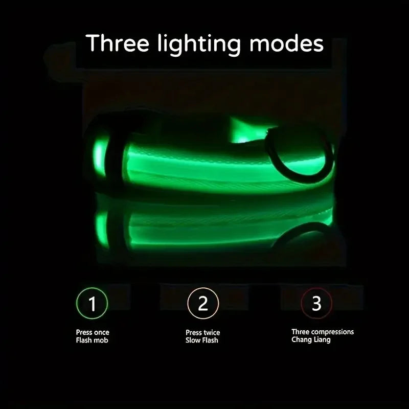 LED Glow-in-the-Dark Dog Leash & Collar – Night Safety for Your Pet