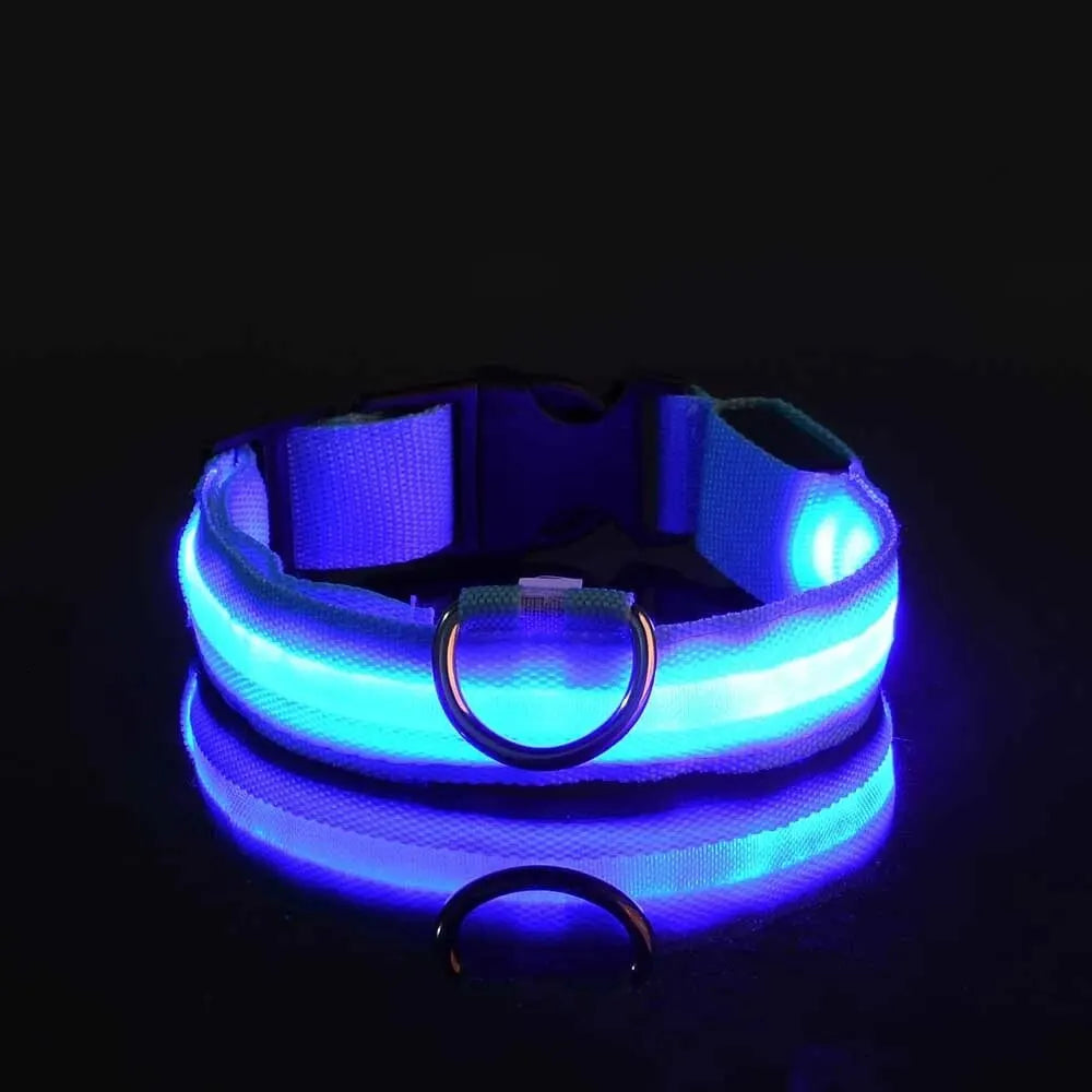 LED Glow-in-the-Dark Dog Leash & Collar – Night Safety for Your Pet