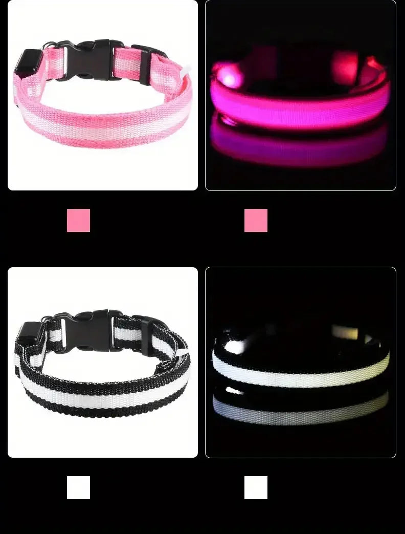 LED Glow-in-the-Dark Dog Leash & Collar – Night Safety for Your Pet