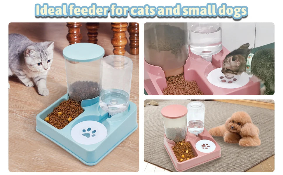 2-in-1 Automatic Cat Feeder & Water Dispenser – Tilted Gravity Food & Waterer Set