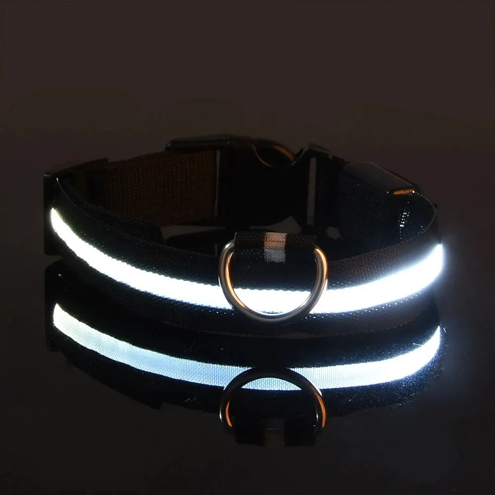 LED Glow-in-the-Dark Dog Leash & Collar – Night Safety for Your Pet