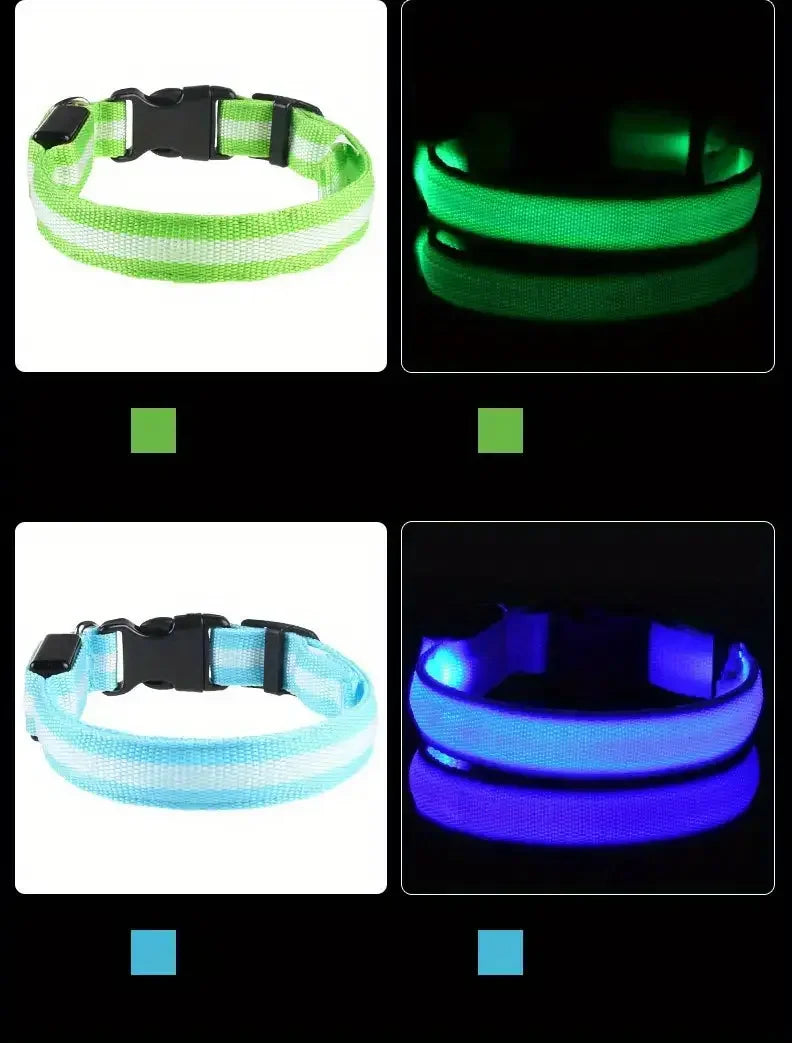 LED Glow-in-the-Dark Dog Leash & Collar – Night Safety for Your Pet