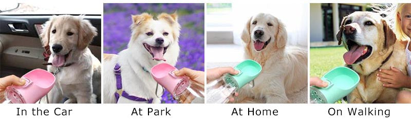 Portable Dog Water Bottle – Leakproof & Convenient Hydration for Pets on the Go