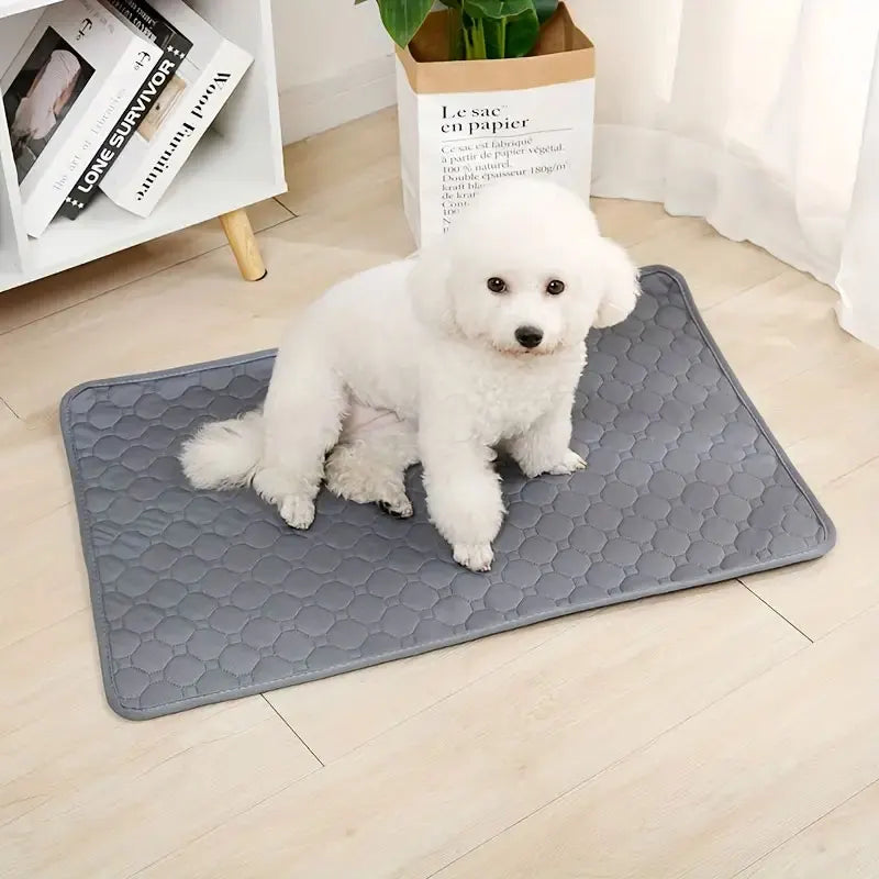 Reusable & Washable Dog Pee Pad – Waterproof & Absorbent Training Mat for Puppies, Cats, Car Seats, Floors & Sofas