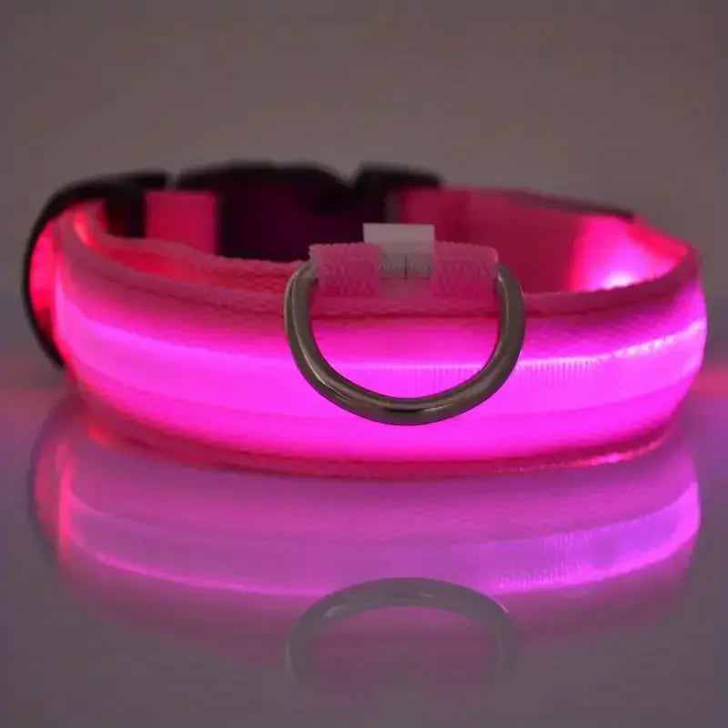 LED Glow-in-the-Dark Dog Leash & Collar – Night Safety for Your Pet