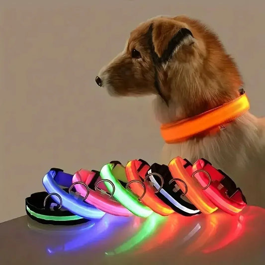LED Glow-in-the-Dark Dog Leash & Collar – Night Safety for Your Pet