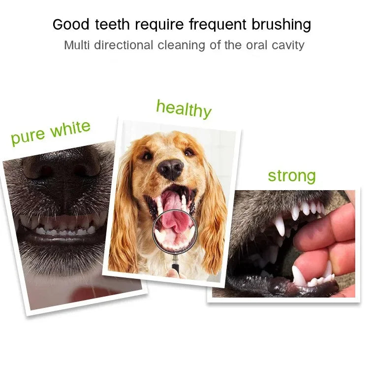3-Sided Pet Toothbrush – Dog & Cat Plastic Toothbrush for Dental Care | Removes Tartar & Bad Breath, Cleans Pet Mouth Effectively