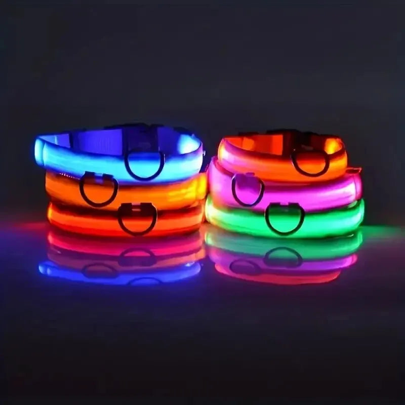 LED Glow-in-the-Dark Dog Leash & Collar – Night Safety for Your Pet